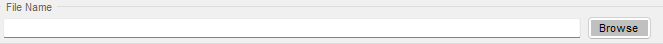 fileName